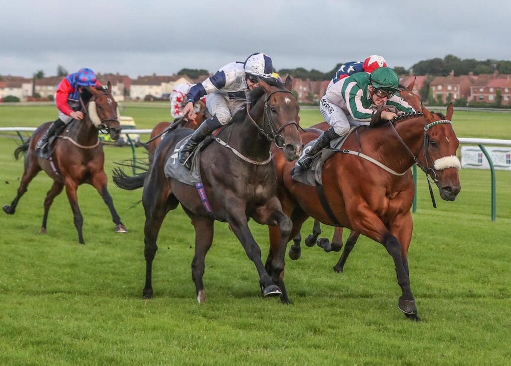 Chaplin Bay finishes the week off winning at Ayr on Saturday