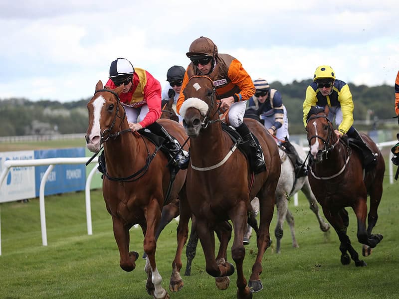Lexy wins at Musselburgh August 2015