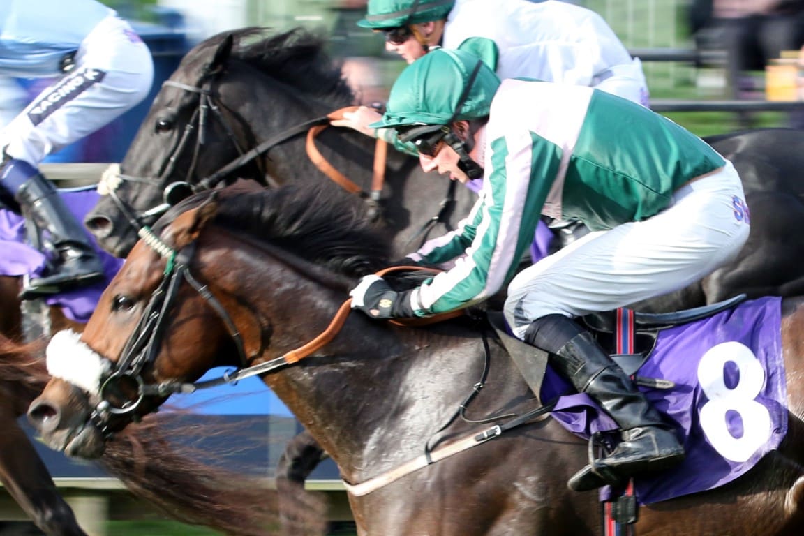 Runners at Beverley - September 2015 - Ruth Carr Racing