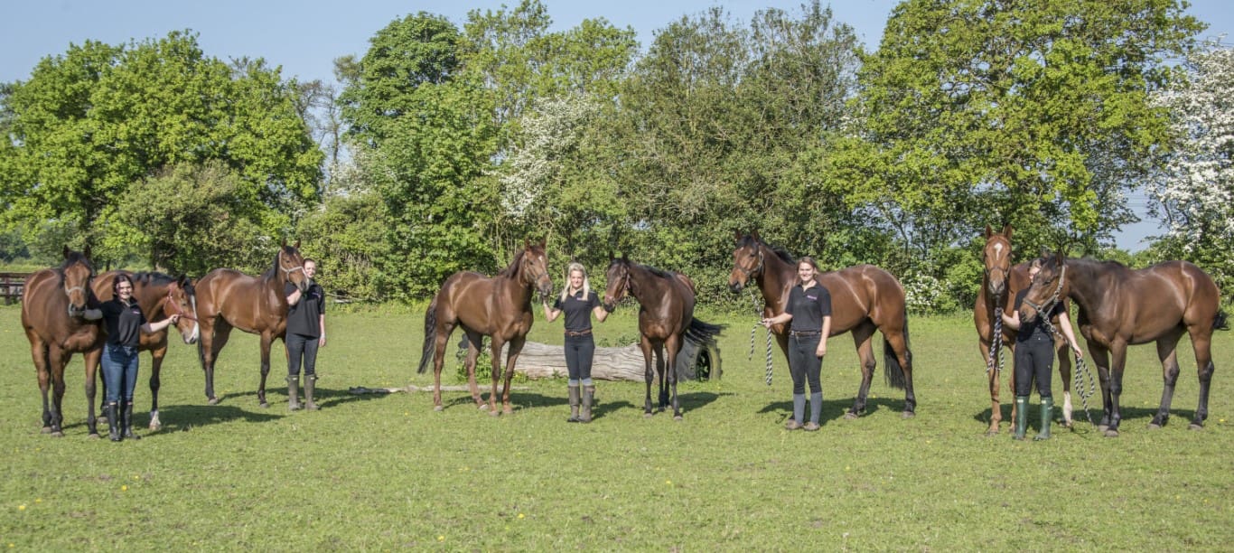 Open Morning for the British Racing Club - 19th May 2018 - Ruth Carr Racing