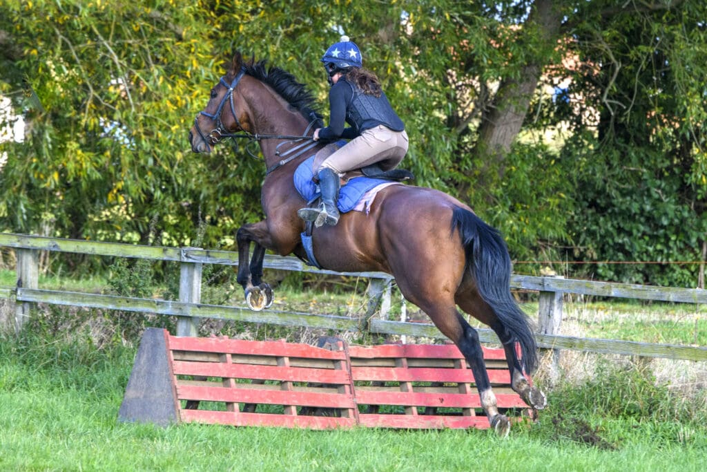 Be Perfect pops over the schooling jumps
