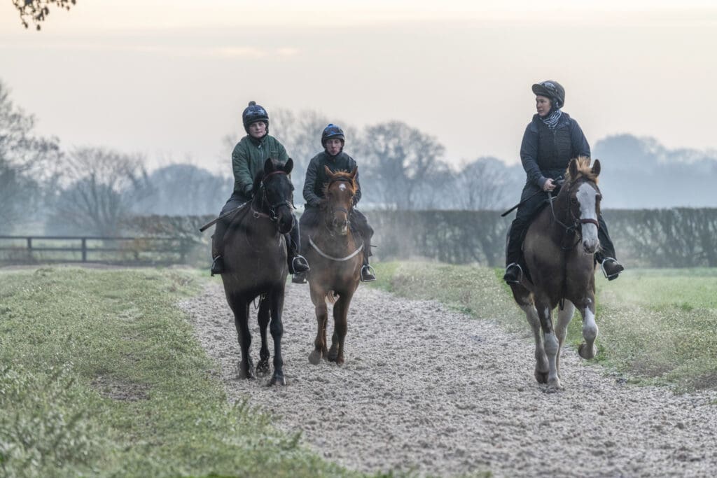Ruth leads Emily and Jimmy on yearlings