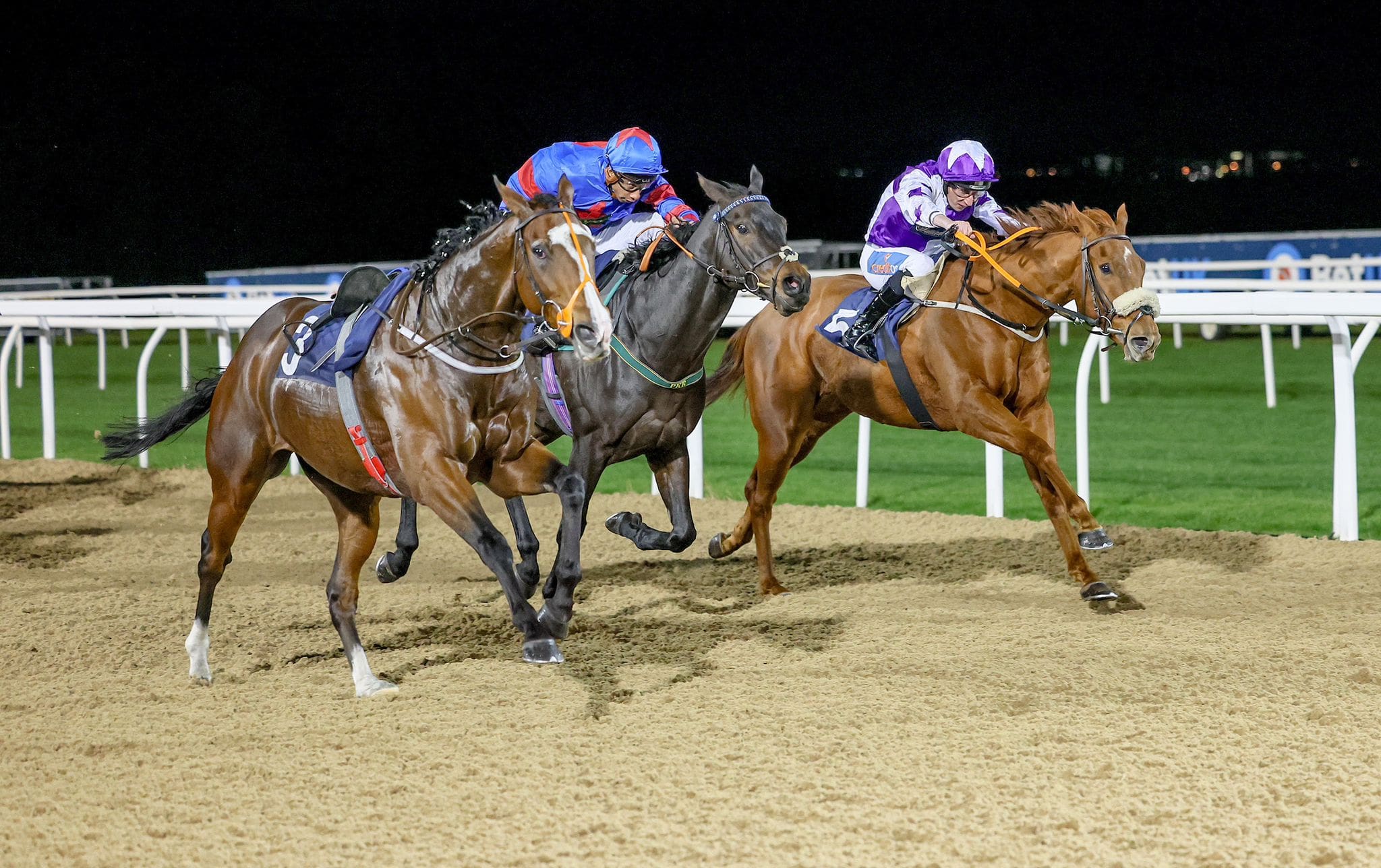 News - Ruth Carr Racing